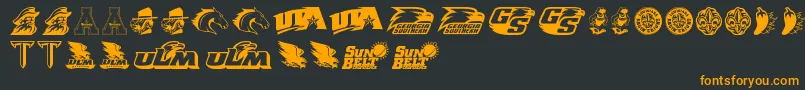 SunBelt Font – Orange Fonts on Black Background