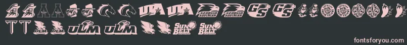 SunBelt Font – Pink Fonts on Black Background