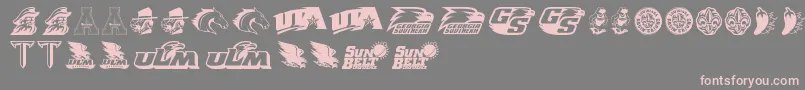 SunBelt Font – Pink Fonts on Gray Background