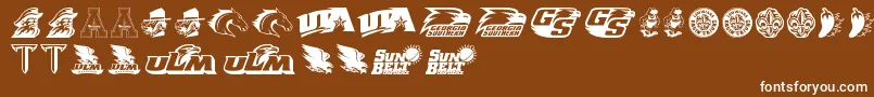 SunBelt Font – White Fonts on Brown Background