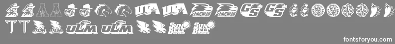 SunBelt Font – White Fonts on Gray Background