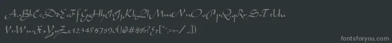 フォントAivakaRegular – 黒い背景に灰色の文字