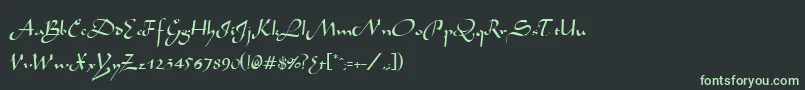 フォントAivakaRegular – 黒い背景に緑の文字