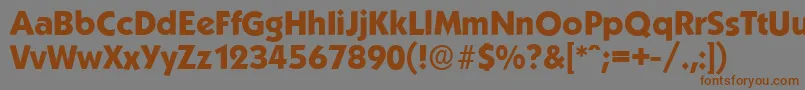 KoblenzserialXboldRegular Font – Brown Fonts on Gray Background