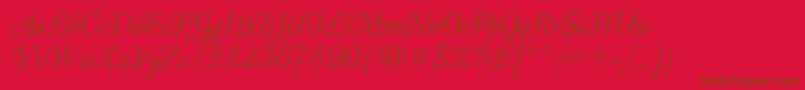 Decornormal.Kz Font – Brown Fonts on Red Background