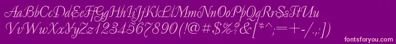 Decornormal.Kz Font – Pink Fonts on Purple Background