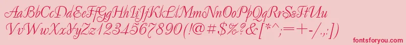 Decornormal.Kz Font – Red Fonts on Pink Background