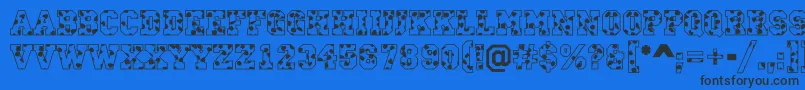Шрифт ACampusspots – чёрные шрифты на синем фоне