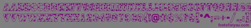 ACampusspots Font – Purple Fonts on Gray Background