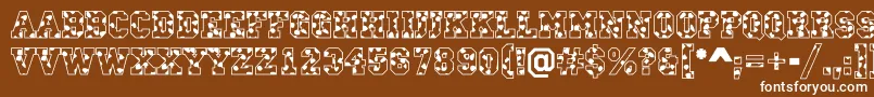 ACampusspots Font – White Fonts on Brown Background