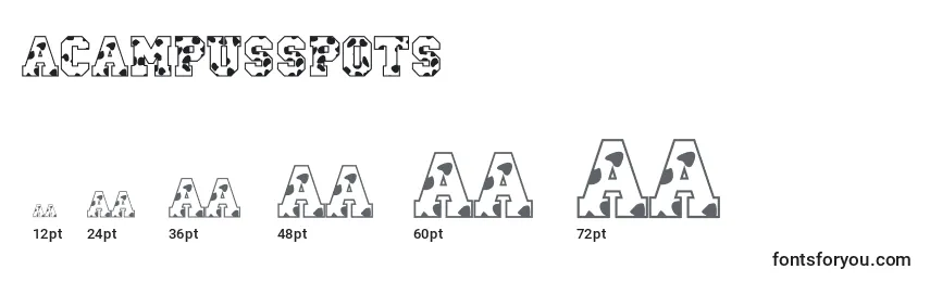 ACampusspots Font Sizes