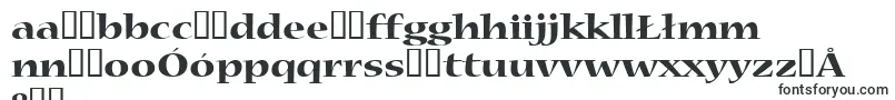 Nueva4 Font – Polish Fonts