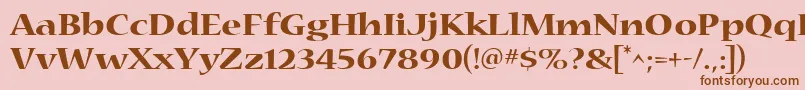 Nueva4 Font – Brown Fonts on Pink Background