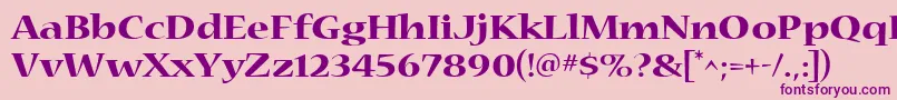 Nueva4 Font – Purple Fonts on Pink Background