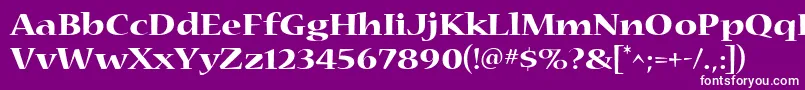 フォントNueva4 – 紫の背景に白い文字