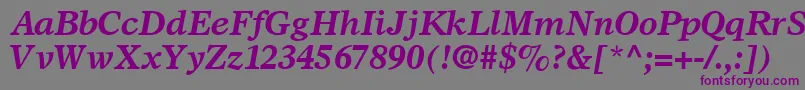 SterlingSsiBoldItalic Font – Purple Fonts on Gray Background