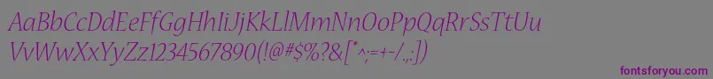 NuevastdLightitalic Font – Purple Fonts on Gray Background