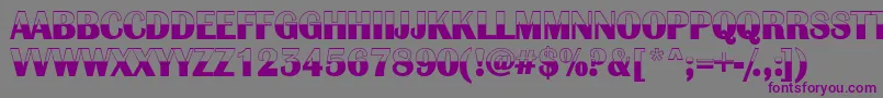 AlbionicbwRegular Font – Purple Fonts on Gray Background