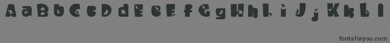 WaltzingMatilda Font – Black Fonts on Gray Background