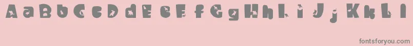 WaltzingMatilda Font – Gray Fonts on Pink Background