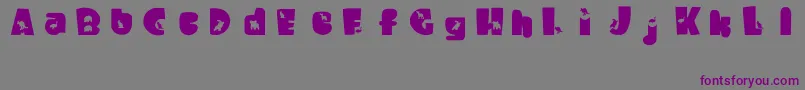 Шрифт WaltzingMatilda – фиолетовые шрифты на сером фоне