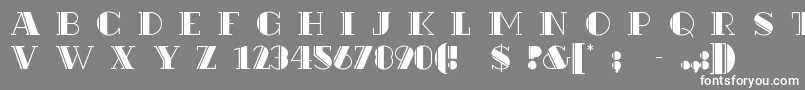 フォントRialto – 灰色の背景に白い文字