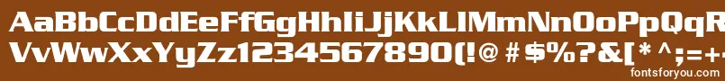 GeodetDisplaySsi Font – White Fonts on Brown Background
