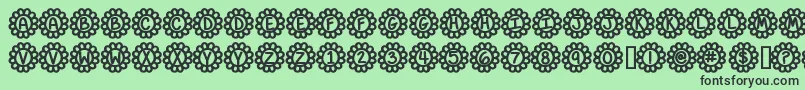 FlowerPowerBold Font – Black Fonts on Green Background