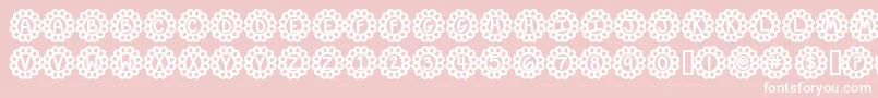 FlowerPowerBold Font – White Fonts on Pink Background