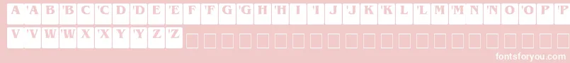 DcSerif Font – White Fonts on Pink Background