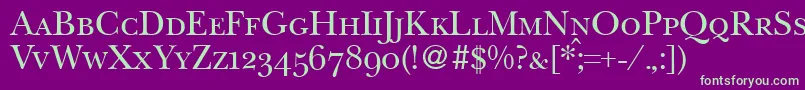 BaskervillenovatwosmcRegular Font – Green Fonts on Purple Background