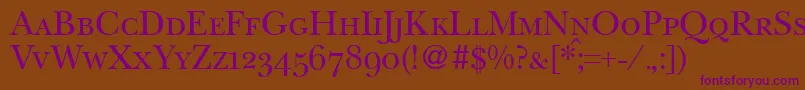 BaskervillenovatwosmcRegular Font – Purple Fonts on Brown Background