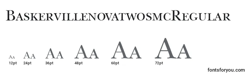 BaskervillenovatwosmcRegular Font Sizes