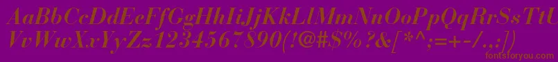 BauerbodonistdBolditalic Font – Brown Fonts on Purple Background