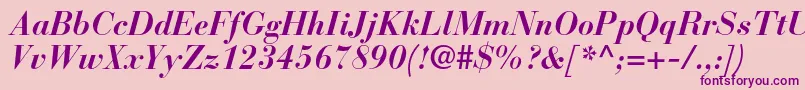 BauerbodonistdBolditalic Font – Purple Fonts on Pink Background