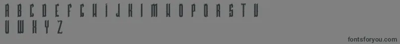 PkHigmonum Font – Black Fonts on Gray Background
