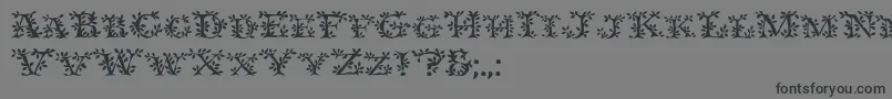 Ivydisplaycaps-Schriftart – Schwarze Schriften auf grauem Hintergrund