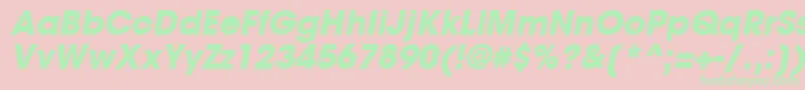 TrendexBlackSsiBoldItalic Font – Green Fonts on Pink Background