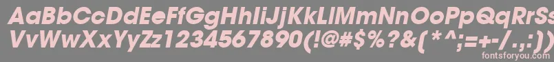 TrendexBlackSsiBoldItalic Font – Pink Fonts on Gray Background
