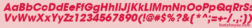 TrendexBlackSsiBoldItalic Font – Red Fonts on Pink Background