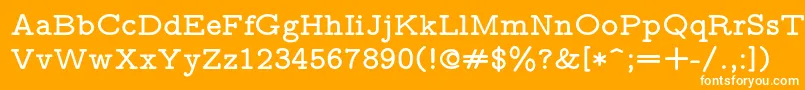 Lmmonoproplt10Bold Font – White Fonts on Orange Background