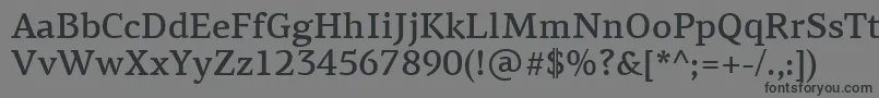 PfagoraserifproMedium-Schriftart – Schwarze Schriften auf grauem Hintergrund
