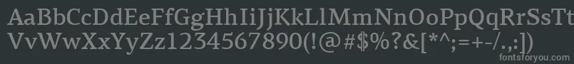 フォントPfagoraserifproMedium – 黒い背景に灰色の文字