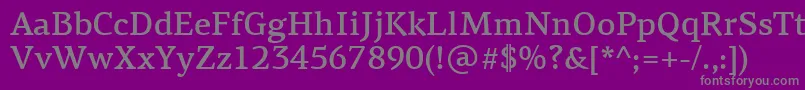 PfagoraserifproMedium-Schriftart – Graue Schriften auf violettem Hintergrund