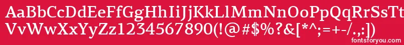 PfagoraserifproMedium Font – White Fonts on Red Background