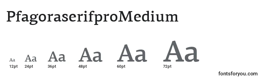 Размеры шрифта PfagoraserifproMedium