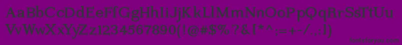 Kleinsforgottenroman Font – Black Fonts on Purple Background