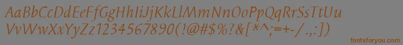 SyndorItcBookItalic-fontti – ruskeat fontit harmaalla taustalla
