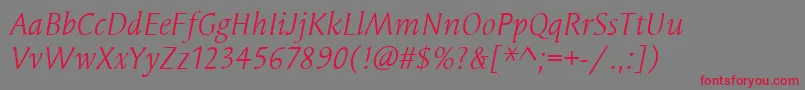 SyndorItcBookItalic Font – Red Fonts on Gray Background