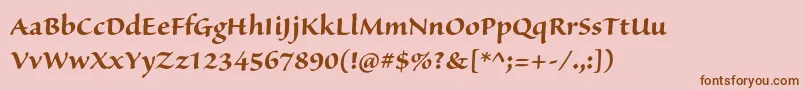 SanvitoproBoldsubh Font – Brown Fonts on Pink Background